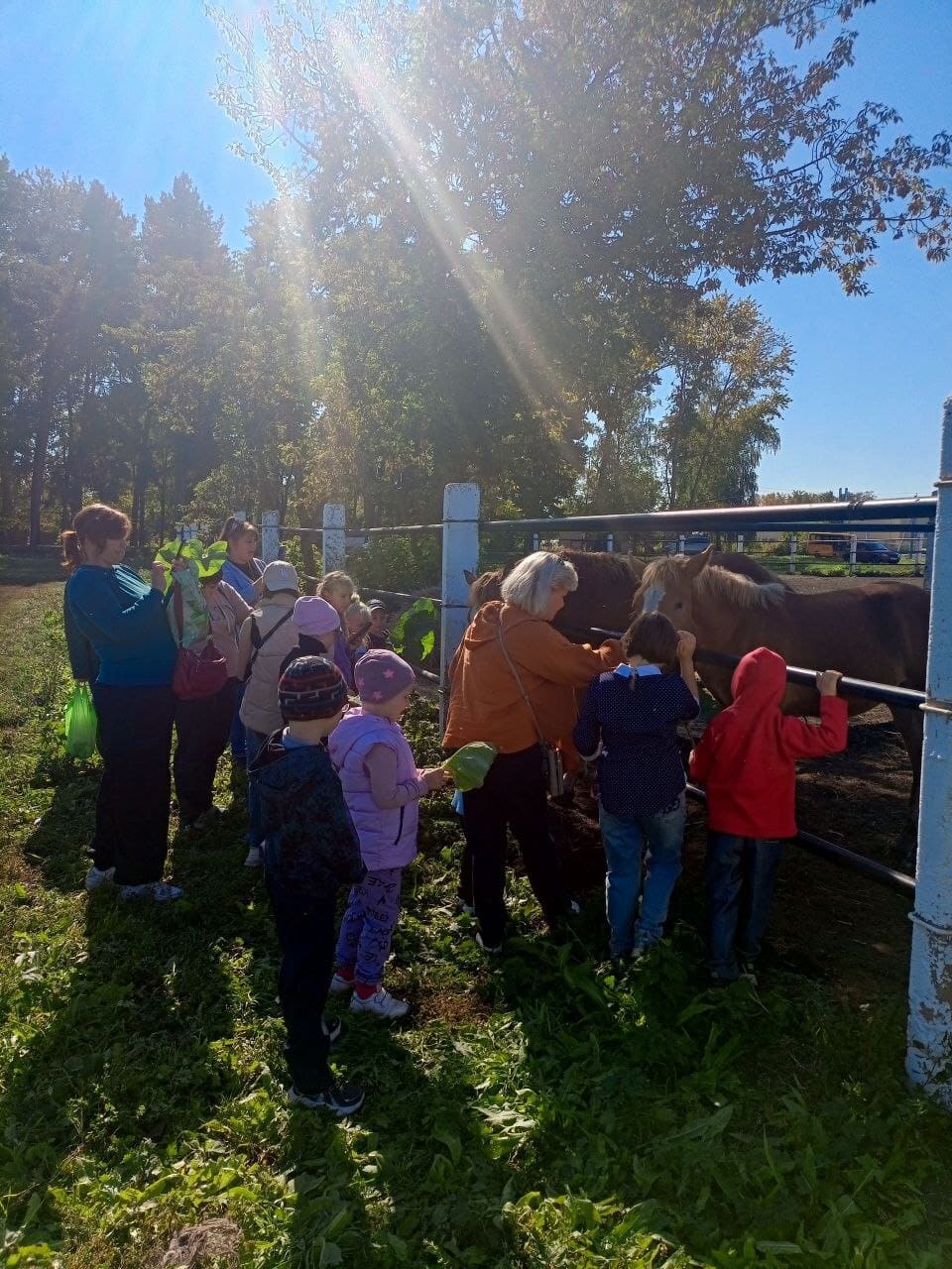 День многодетной семьи