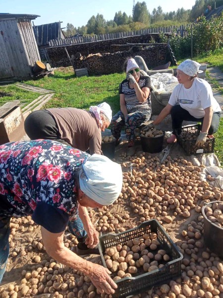 Деятельность социальных работников