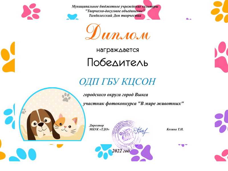 Об онлайне - фотоконкурсе «В мире животных» в номинациях «Любимец в семье» и «Милый дикарь»